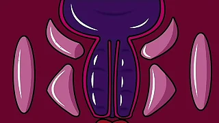 386 anime porn videos